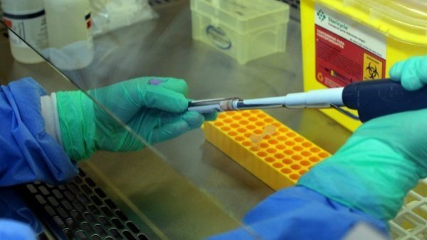 Confirman contagio de niño de 11 años con virus Hanta en La Araucanía: se encuentra en la UCI
