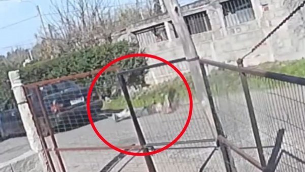 Hombre capturó a delincuente, lo amarró a su auto y arrastró ocho cuadras en Uruguay
