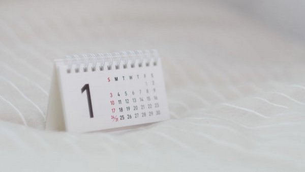 Feriado del 20 de agosto: ¿en qué comunas aplicará?
