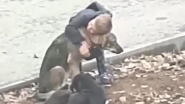 Ibrahim: El niño ruso que abraza a perritos callejeros