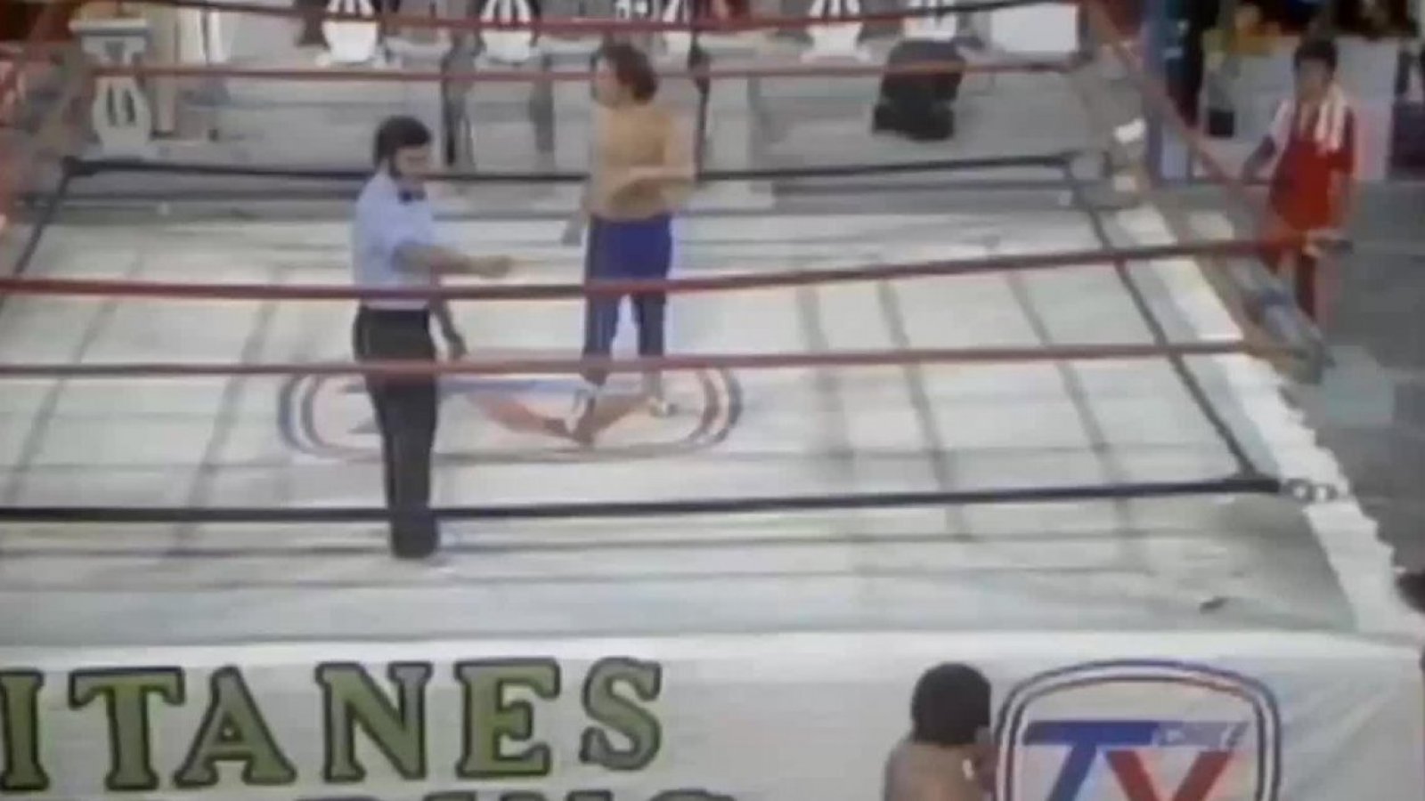 Así comenzaba "Los Titanes del Ring"
