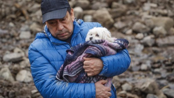 Sistema frontal: ¿cómo cuidar a tu mascota y qué hacer en evacuaciones?