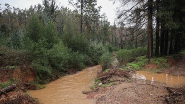 Socavones y riesgo de colapso de puente: declaran emergencia en 4 comunas de La Araucanía
