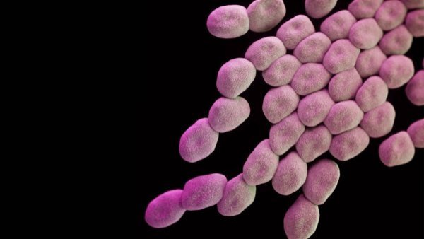Terror por bacteria "come carne": reportan 5 muertes en Estados Unidos
