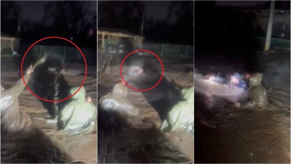 Carabineros lanzan cuerda y rescatan a hombre que era arrastrado por río en Curicó
