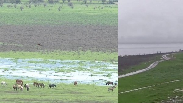 Laguna de Aculeo "resucita" por lluvias: ¿volvió para quedarse?
