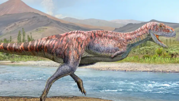 Abelisaurio, el dinosaurio con brazos cortos hallado en Chile