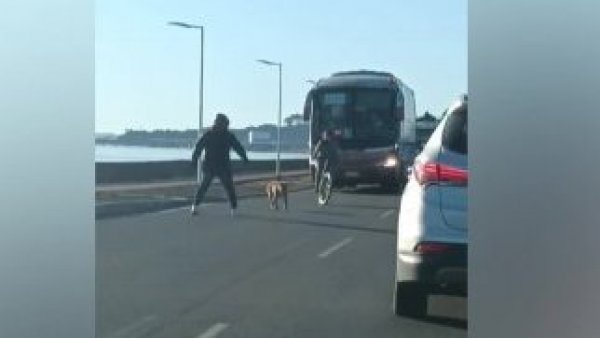Pedro Carcuro "se puso de pie" por el temerario perro
