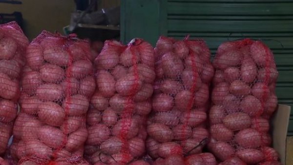 Conozca sus características y precio: ¡Llegó la papa argentina!
