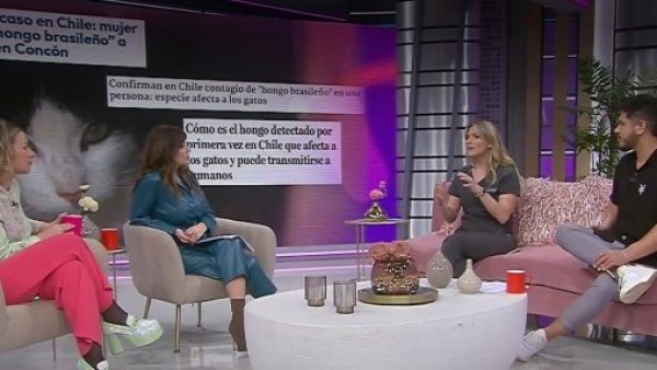 Hoy se habla - Martes 29 de agosto 2023
