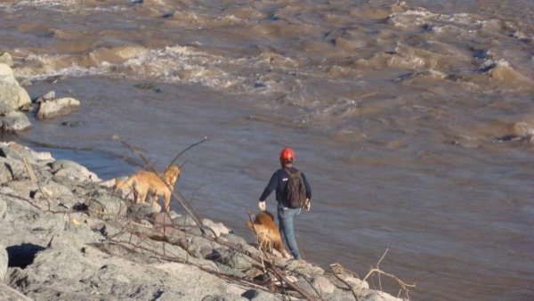 Confirman que cadáver hallado en la ribera del río Cachapoal de hombre desaparecido hace 13 días
