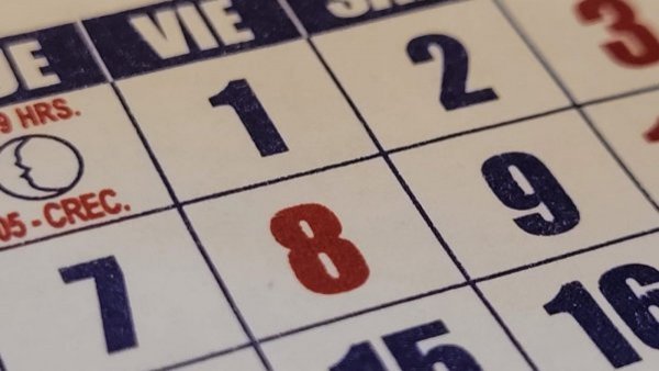 ¿Será feriado el 8 de septiembre?: Congreso vota proyecto este miércoles
