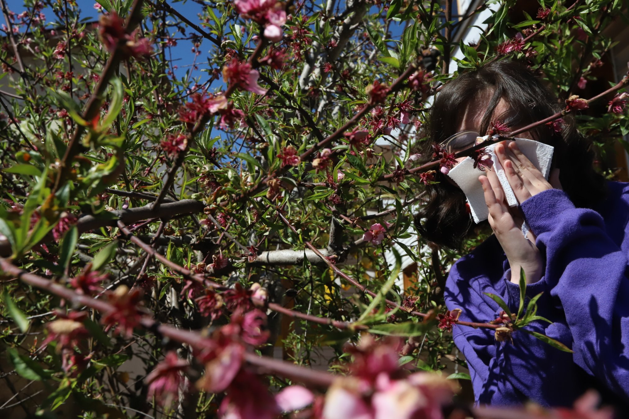 Alergia en primavera