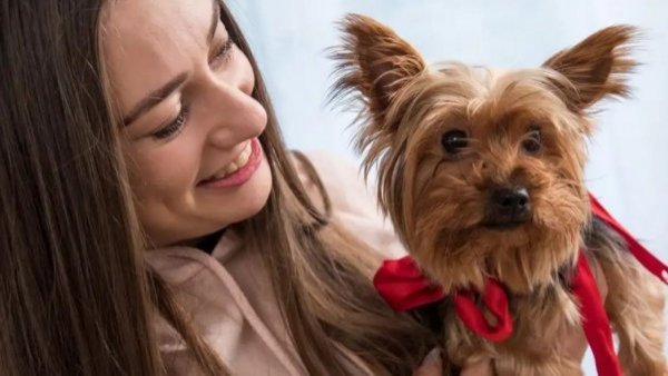 Así se habla con los perros: estudio dice que prefieren las voces femeninas y en tono de "bebé"
