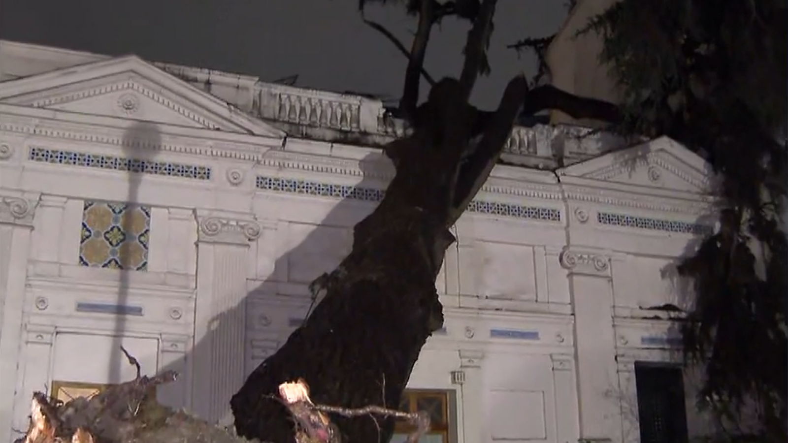 Lamentable: Árbol de 160 años cae sobre el Palacio Cousiño
