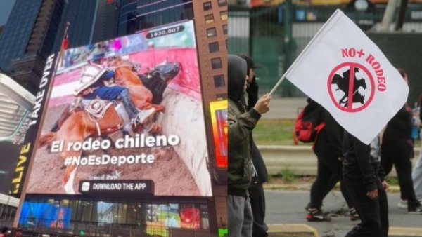 <p>No más rodeo. El rodeo no es deporte.</p>ONG Animal Libre muestra mensaje contra el rodeo en Times Square: "No es deporte"
