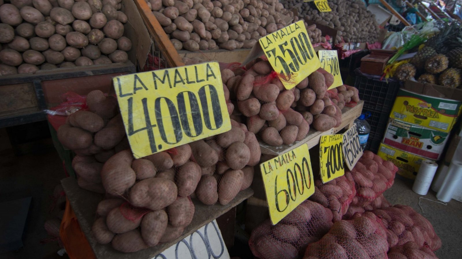 inflación en las verduras