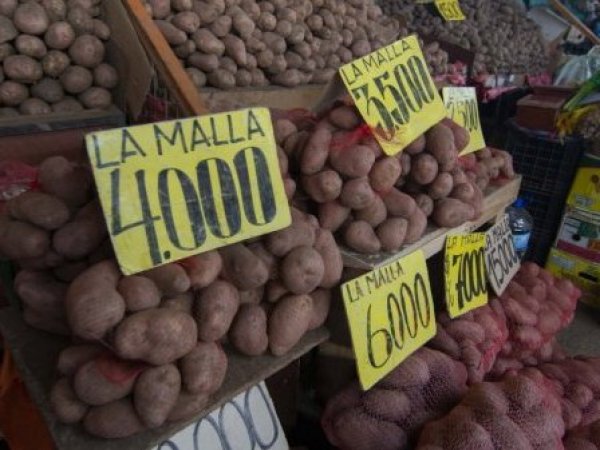 inflación en las verduras