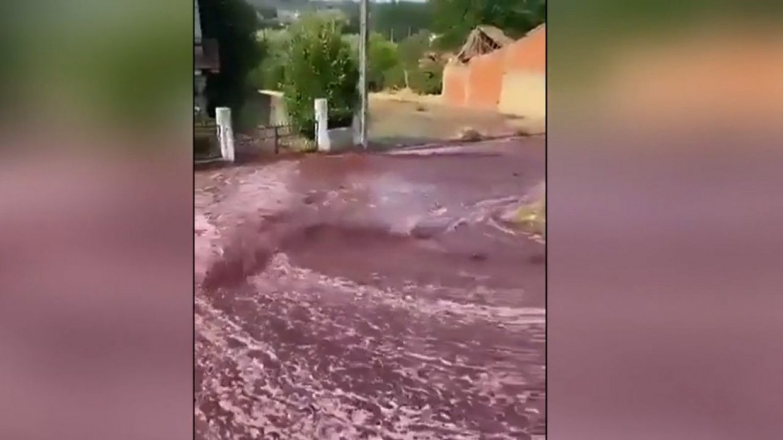 Explosión en destilería genera "río de vino" en calles de Portugal
