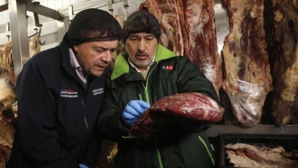 SAG fiscaliza carnicerías y detallan precios: "Carnes rojas en torno a los $8 mil y $10 mil"
