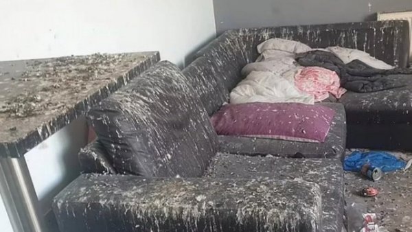 Dueño pidió su casa a inquilinos y se encontró con horrible sorpresa: Gastó mas de 20 mil dólares en limpieza
