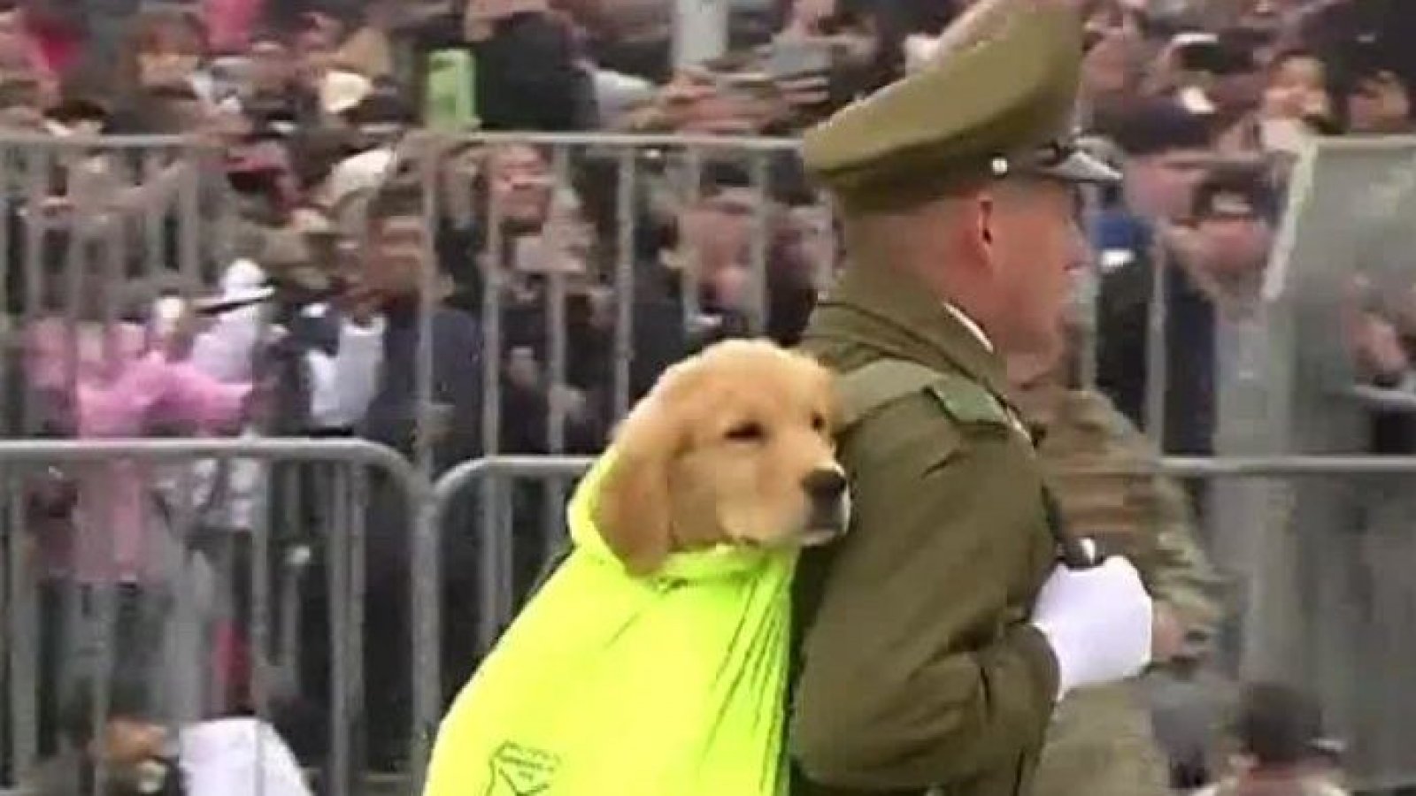 Los virales que se tomaron las Fiestas Patrias
