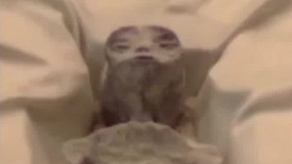 ¿Aliens en México?: Profesor Maza entregó su opinión de los supuestos extraterrestres
