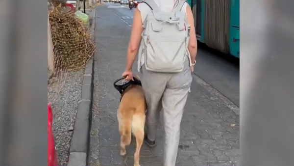 Mujer con discapacidad visual acusa que intentaron negarle el subir a vuelo con su perro guía
