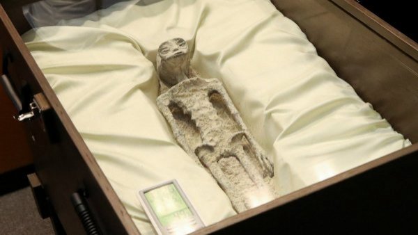 <p>Extraterreste en México</p>Extraterrestres: restos mexicanos no tienen evidencia de "origen alienígena"
