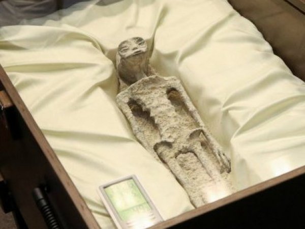 Extraterreste en México