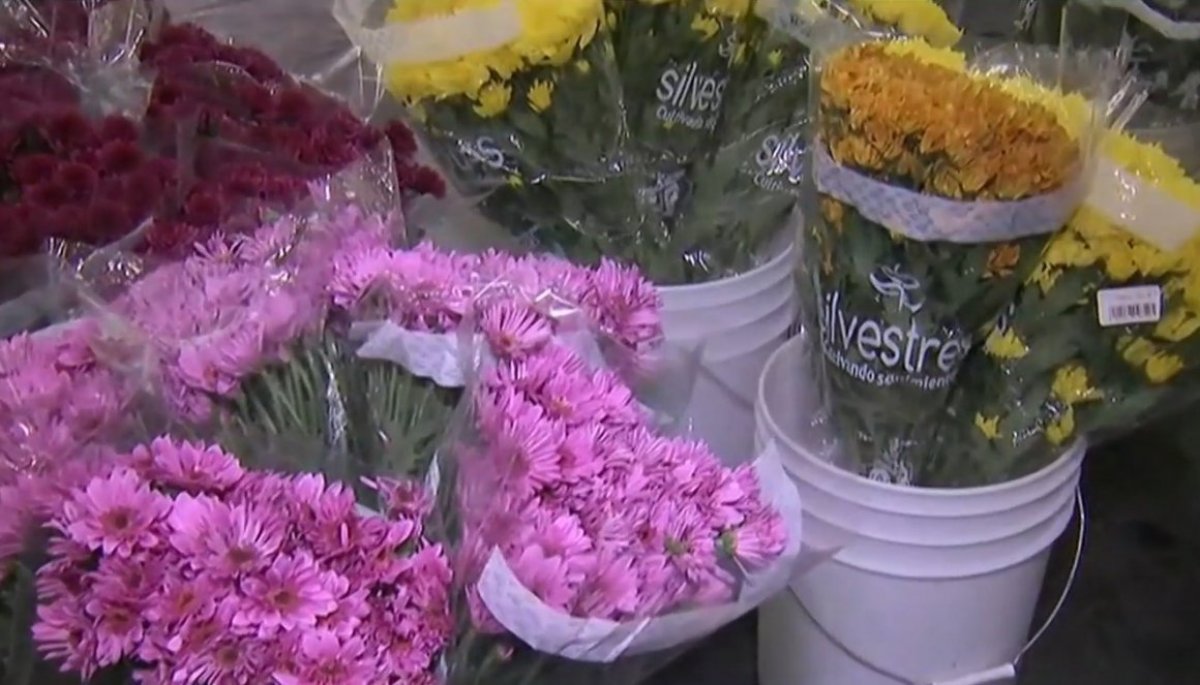 Lo lindo de la estación ¡Llega la primavera y muchas más flores! TVN