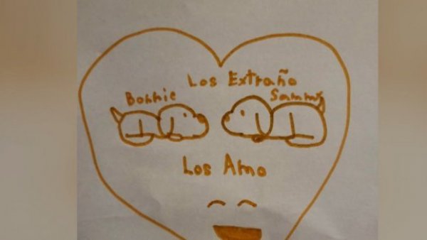 "Sufrimos con su ausencia": La angustia y dolor de una familia víctima del robo de sus perritos
