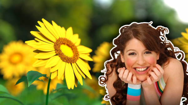 Regalar flores amarillas en primavera: ¿Cuál es el origen de esta tradición?