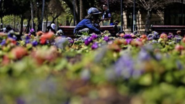 <p>Primavera. </p>¿Cuándo empieza la primavera en Chile?
