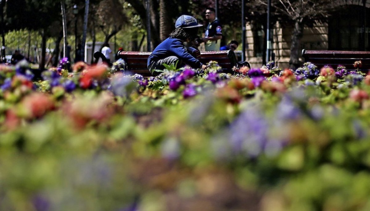 ¿Cuándo empieza la primavera en Chile? | TVN