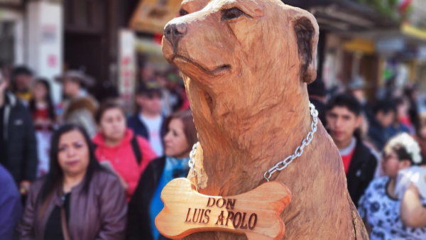 Osorno homenajea a Don Luis Apolo, icónico perro callejero fallecido
