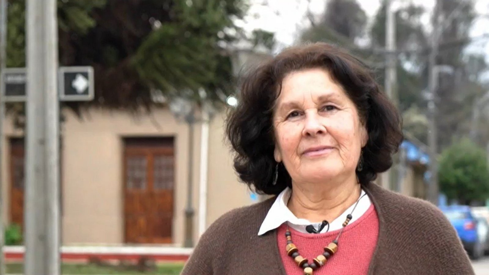 Camiseteados: Nora Morales y su trabajo artístico para la comunidad de Graneros

