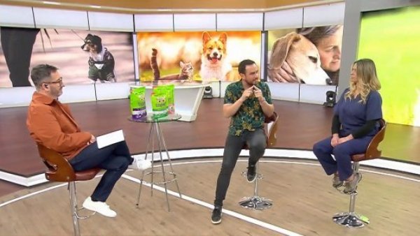 Mascotas y primavera ¿Cómo afectan las alergias a nuestros animales?