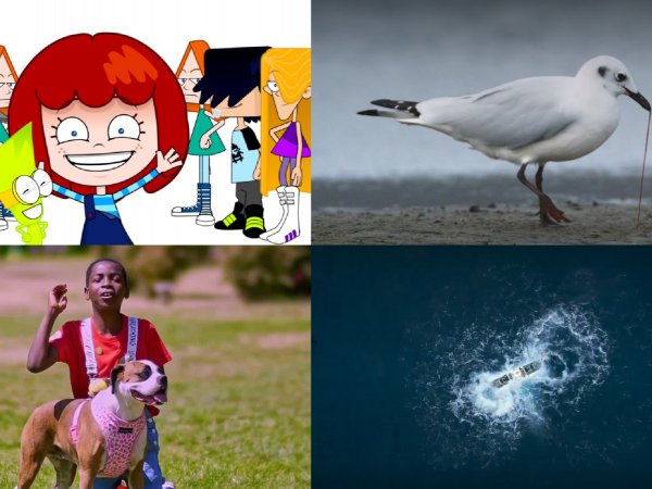 premios tal, NTV Renata, Costa Salvaje, guardianes del planeta, atacama hadal