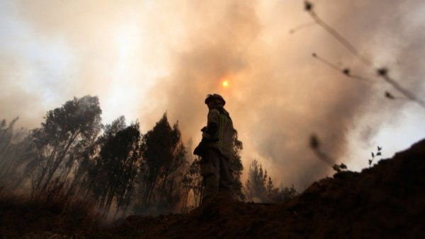 "Amenaza inminentemente a viviendas": Alerta Roja para la comuna de Coquimbo por incendio forestal
