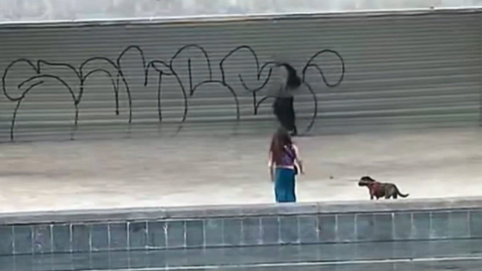¡Qué no podamos tener nada bonito! Vandalizan reinaugurado Café Literario de Providencia
