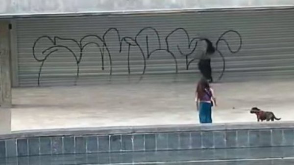 ¡Qué no podamos tener nada bonito! Vandalizan reinaugurado Café Literario de Providencia
