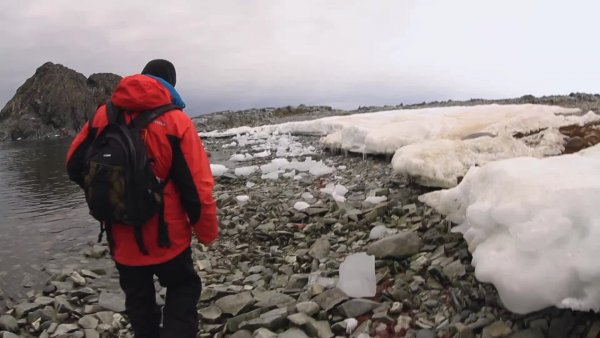 En Selva Viva Patagonia visitamos las islas de la Antártica