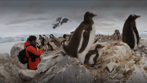 Selva Viva Patagonia en NTV: Círculo Polar Artico