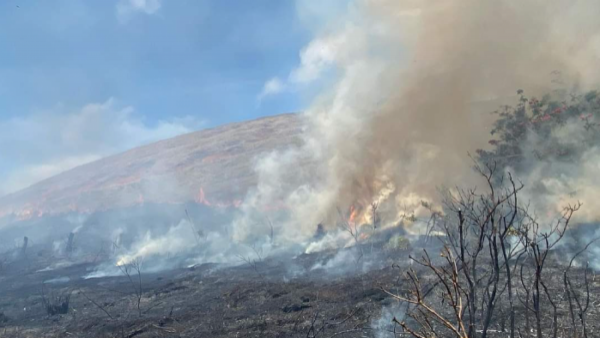 Declaran Alerta Roja para Isla de Pascua por incendio forestal
