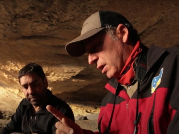 ntv, milodón, selva viva, patagonia