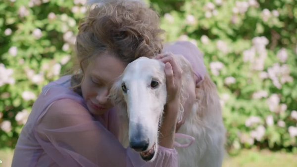 Guardianes del Planeta capítulo 26: Ayudan a perrito sin dueño y gatito que cambió personalidad