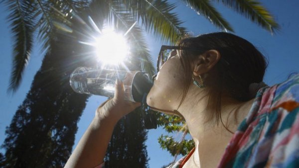 Hasta 32°: emiten advertencia agromeorológica por altas temperaturas en dos regiones del país
