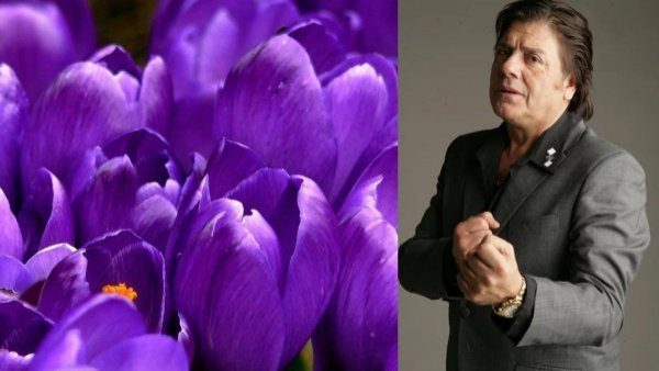 Un "ramito de violetas" el 9 de noviembre: ¿por qué recordamos hoy a Zalo Reyes?