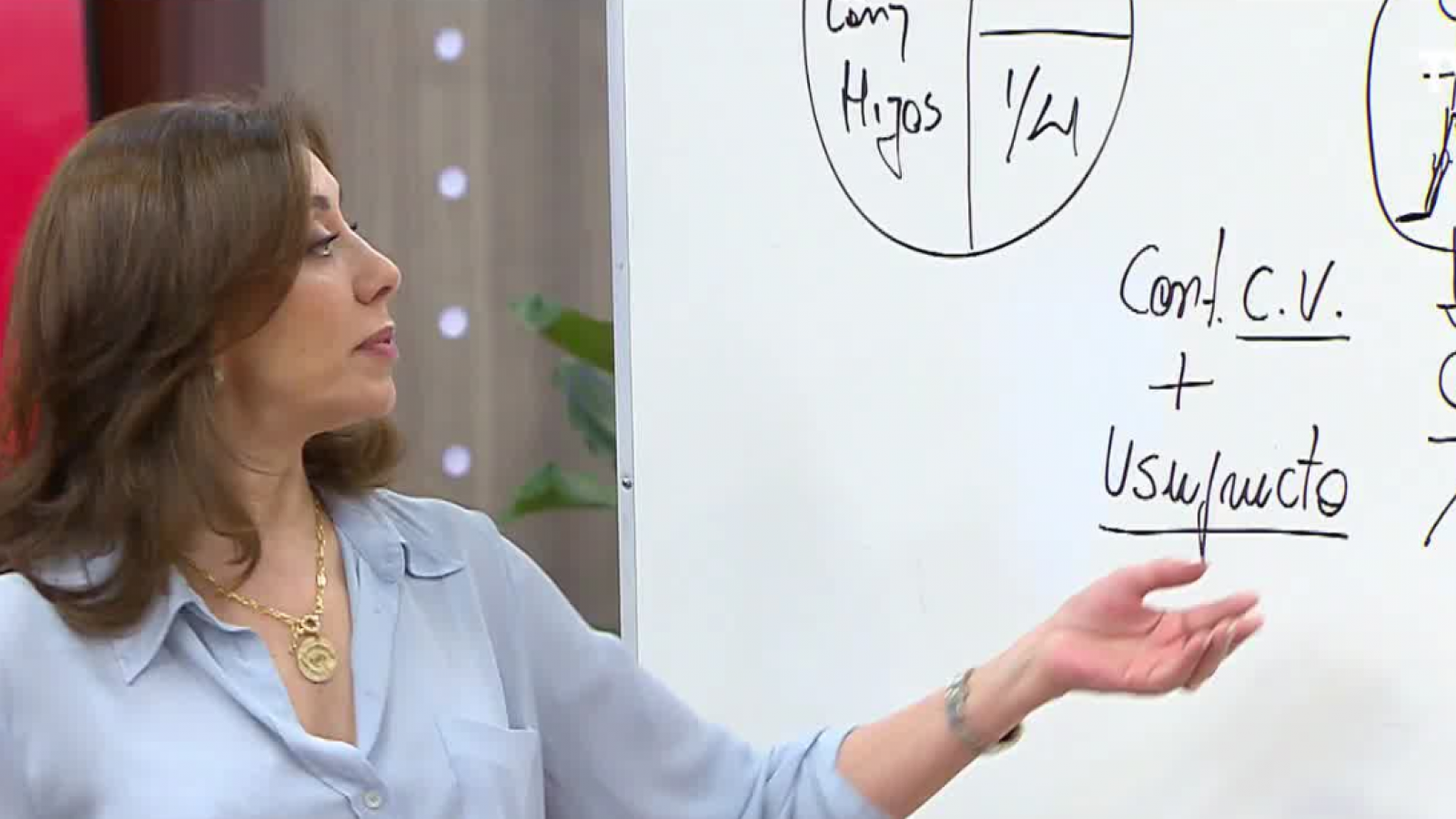 Carmen Gloria responde: ¿Qué es el "usufructo"?
